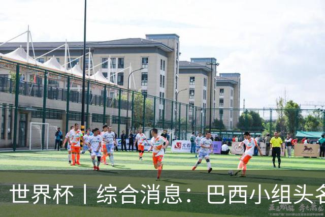 世界杯丨综合消息：巴西小组头名晋级 南非创造球队历史