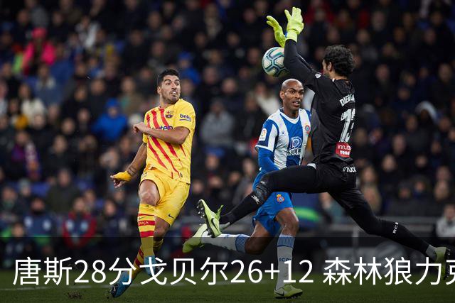 唐斯28分戈贝尔26+12 森林狼力克黄蜂4连胜